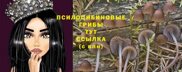 стаф Абинск