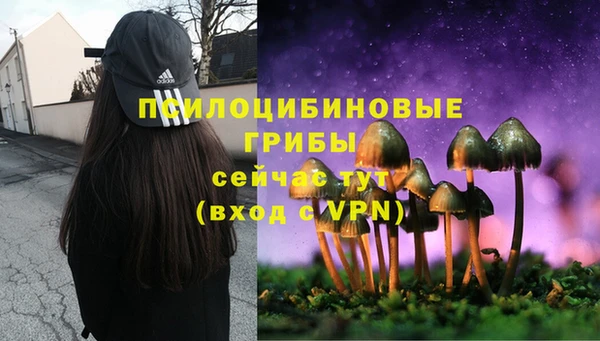 стаф Абинск
