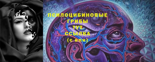 стаф Абинск