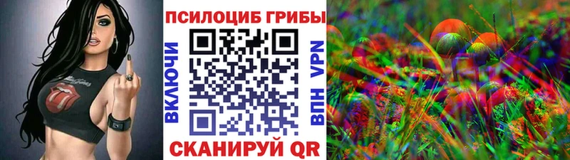 Псилоцибиновые грибы MAGIC MUSHROOMS  omg зеркало  Алатырь 